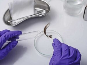 hair follicle drug testing Houston TX sample collection