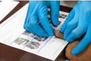 Fingerprinting services in Houston TX performed by certified technician